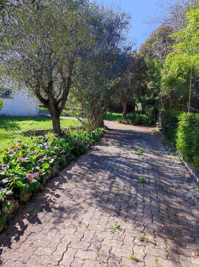 Villa Olivaie St Ange 拉戈代 外观 照片